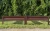 15.webp