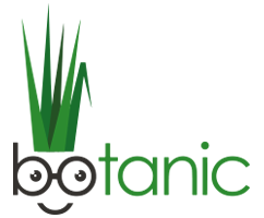 BOTANIC - strona główna